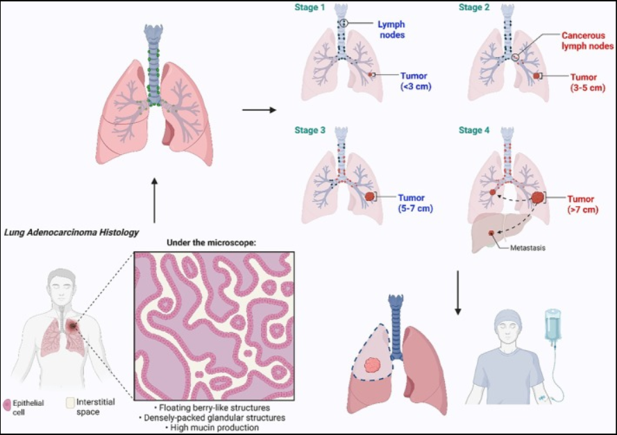 Research Image